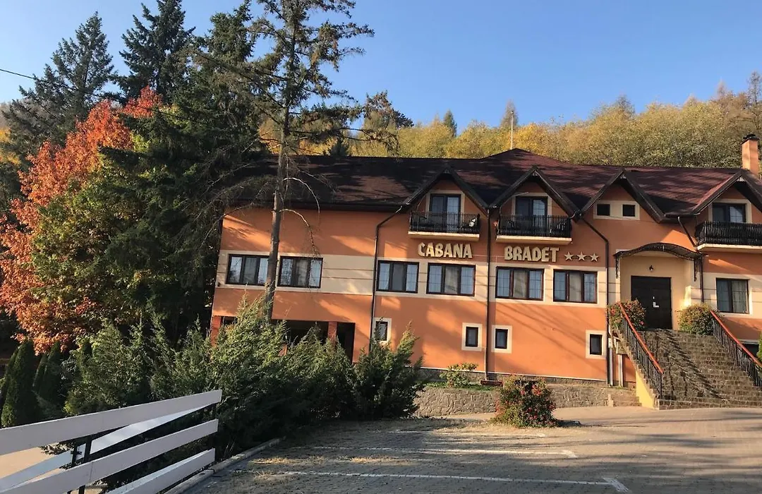 Pensiunea Turistica Cabana Bradet-1